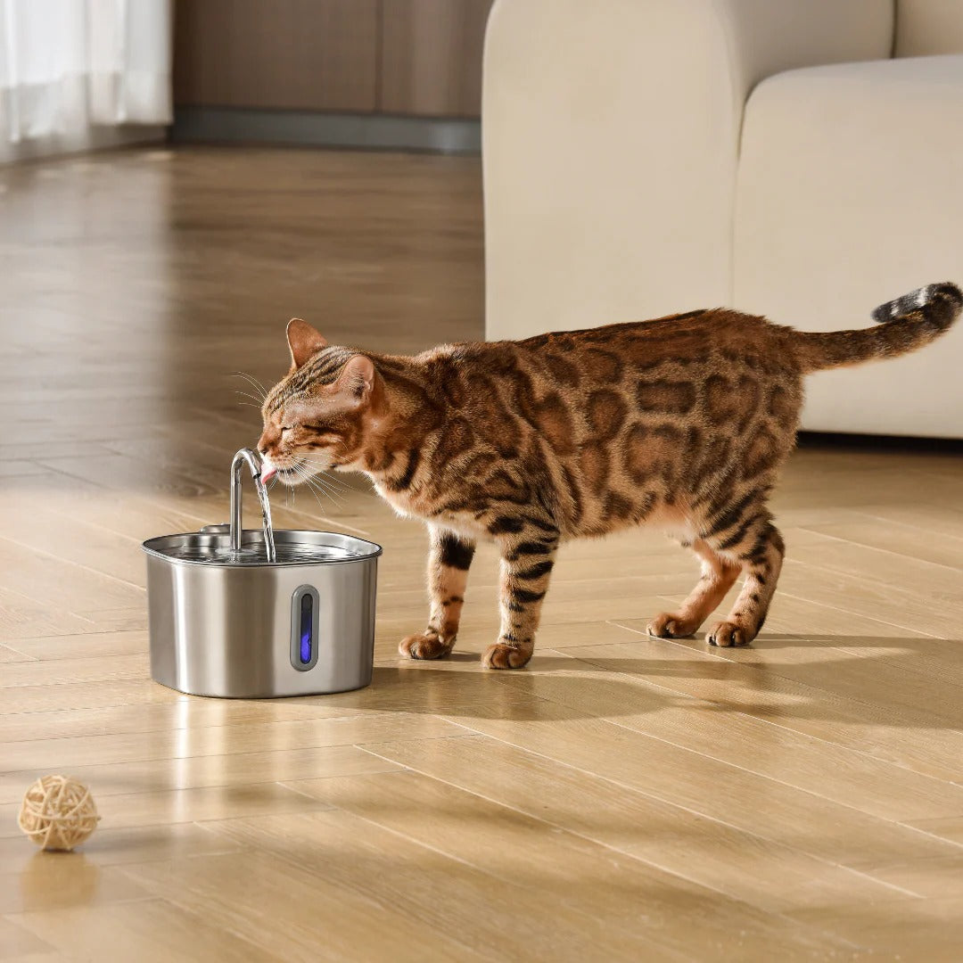 Kattfontänen™ – Friskt rinnande vatten som din katt älskar
