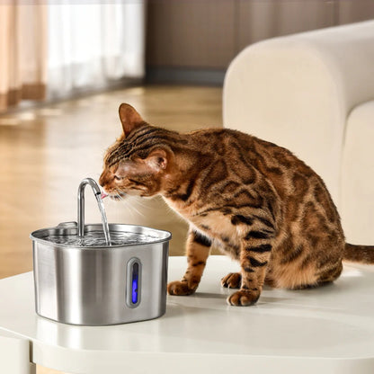 Kattfontänen™ – Friskt rinnande vatten som din katt älskar